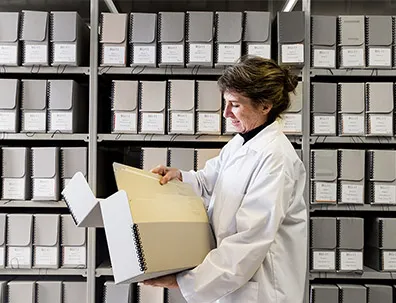 organização de documentos - Euromob - 01